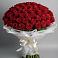Букет 101 Красная роза Блэк Мэджик в Пески