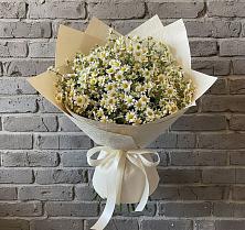 Букет цветов из:  Ромашки #REPLACE_PRED# Пески