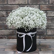 Цветочная композиция из Гипсофила в шляпной коробке в Пески