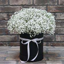 Цветочная композиция из Гипсофила в шляпной коробке в Пески